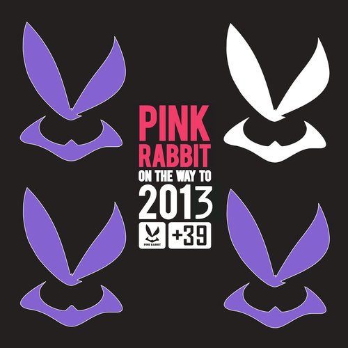 A Pink Rabbit On the Way to 2013