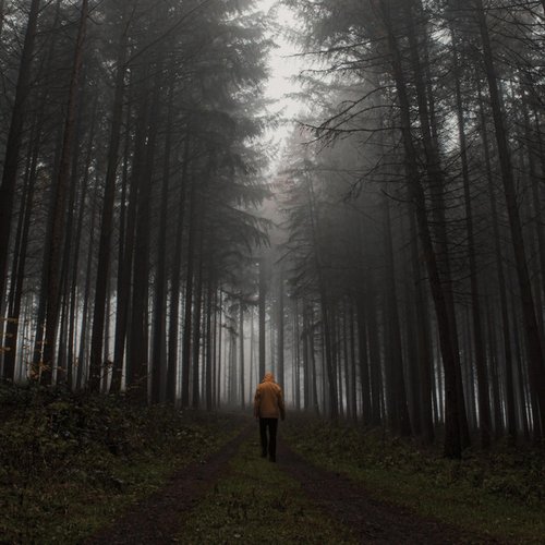 Ghost In The Night
