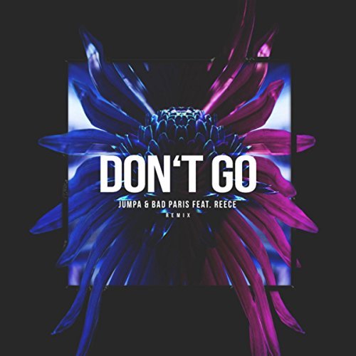 Don't Go (Remix)