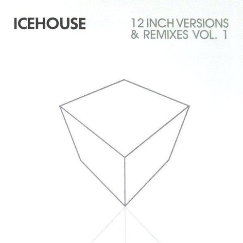 12 Inch Versions & Remixes Vol. 1