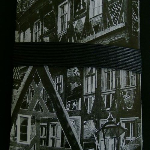 The Second To Last Plague