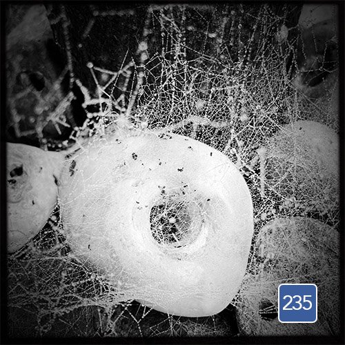 Unpop 235 (Disc Two)