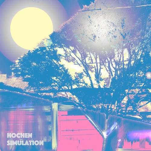 Simulation
