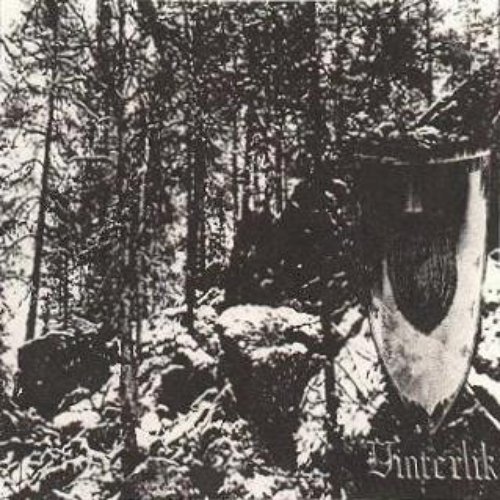 Vinterlik