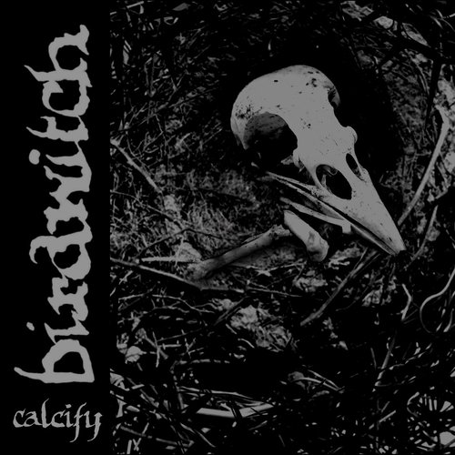 Calcify