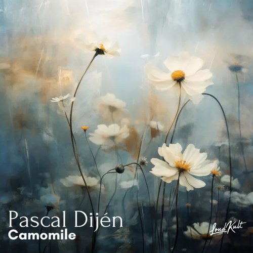 Camomile