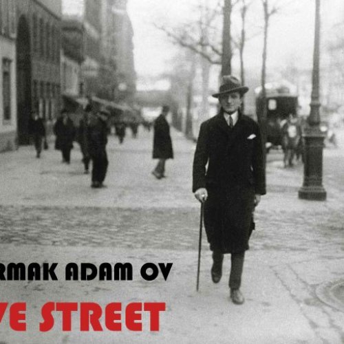 Ve Street