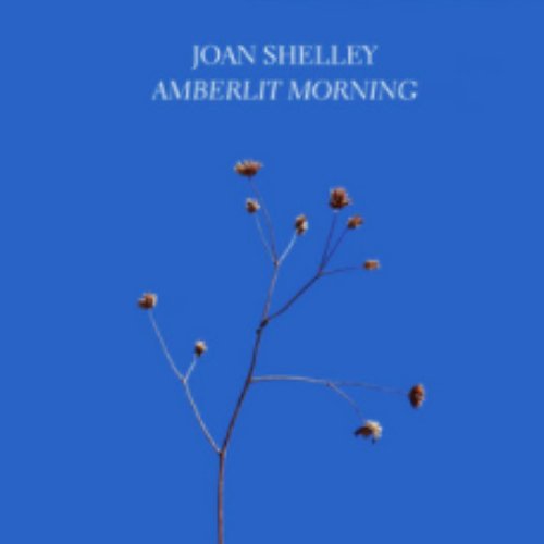 Amberlit Morning