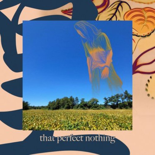 that perfect nothing