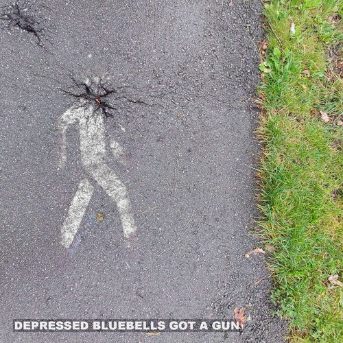 Depressed Bluebells Got a Gun