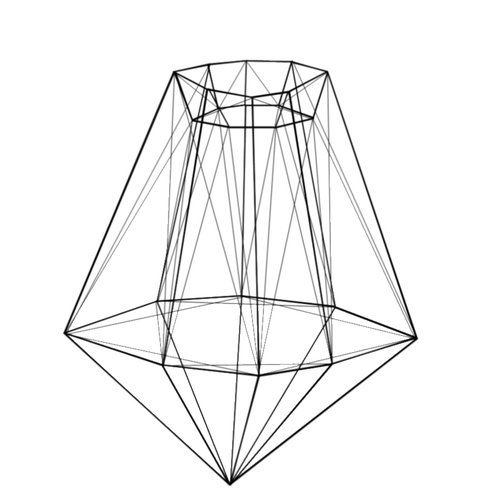THE CAGE