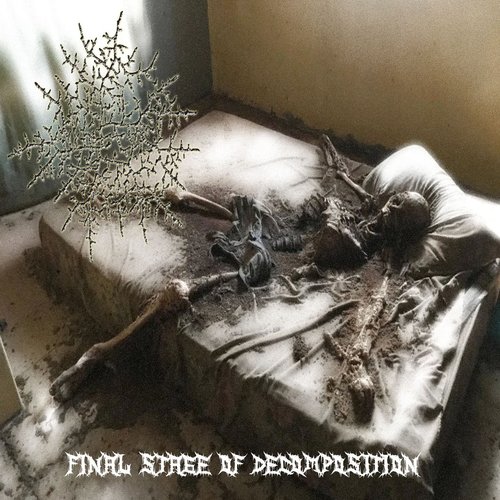 Final Stage Of Decomposition