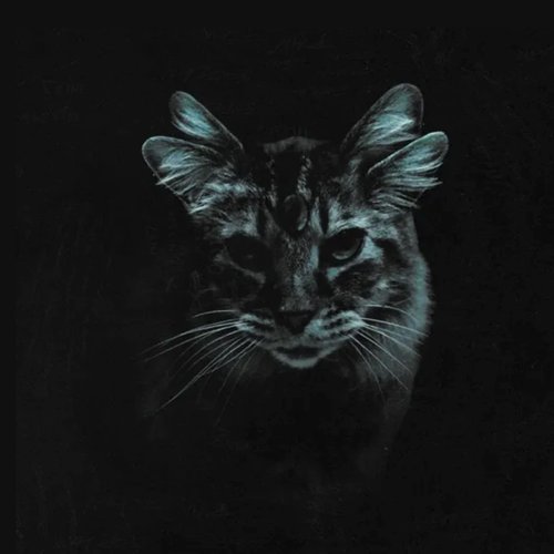 too scared to explain - EP