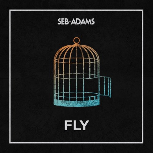 Fly - Single