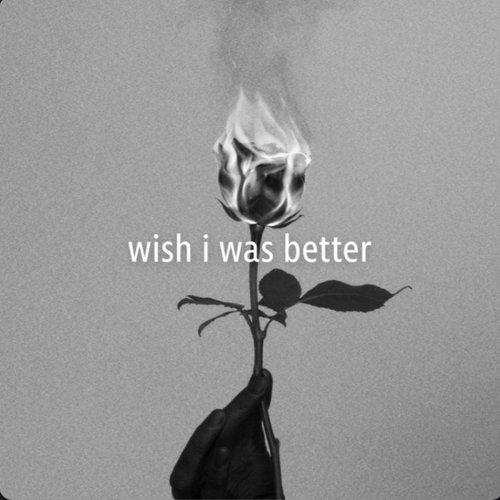 Wish I Was Better - Single
