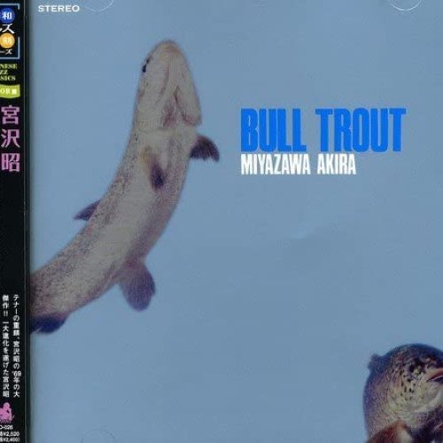 Bull Trout (いわな)