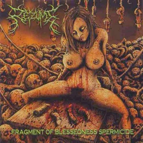 Fragment of Blessedness Spermicide