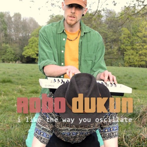 I Like the Way You Oscillate - Single