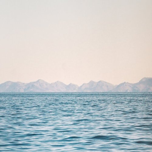 Movements (Inshore)