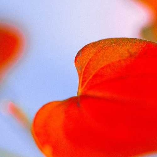 旧り行くとしても