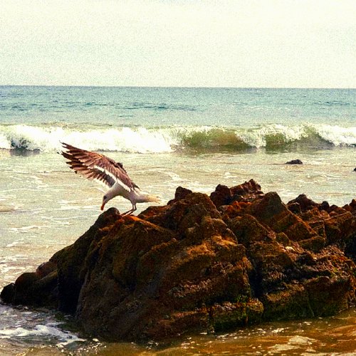 unreleased (2007-2025)