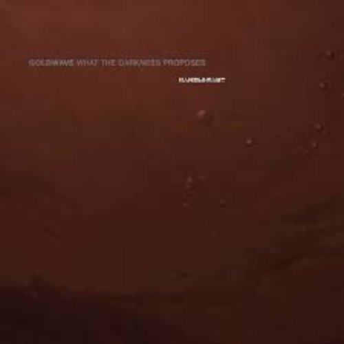 What the Darkness Proposes