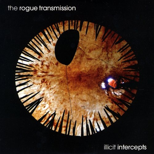 illicit intercepts
