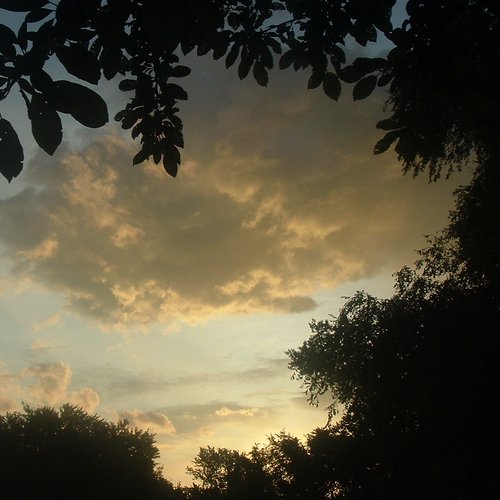 Love On The Horizon