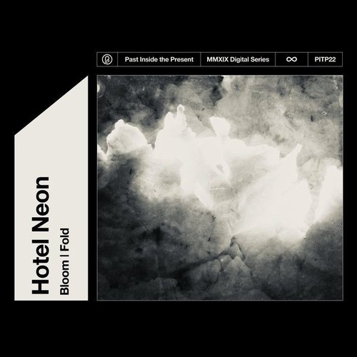 Bloom | Fold