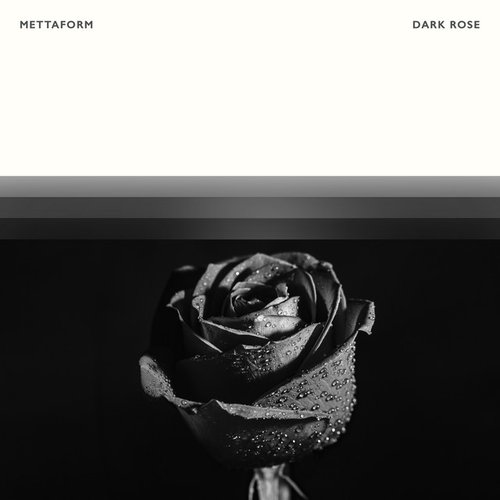 Dark Rose