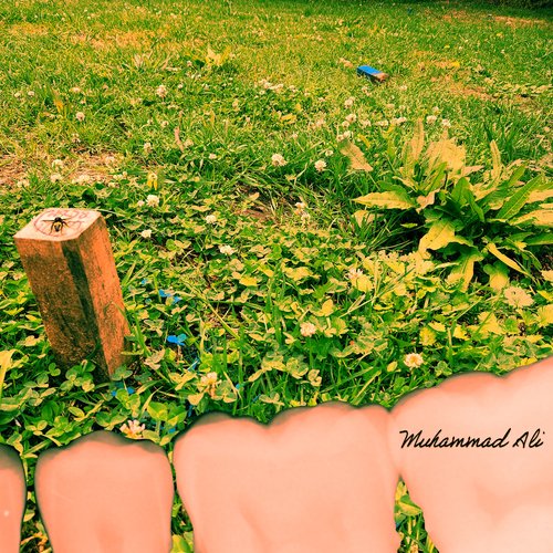 Muhammad Ali
