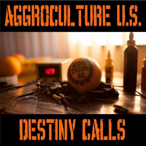 Destiny Calls