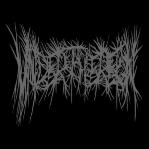Demo