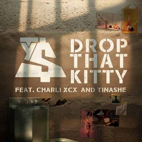 Drop That Kitty