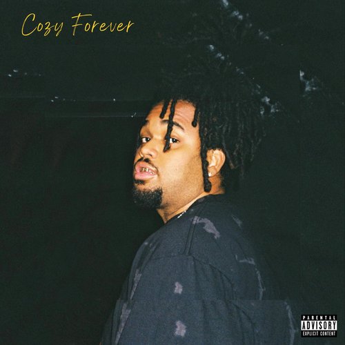 Cozy Forever - Single