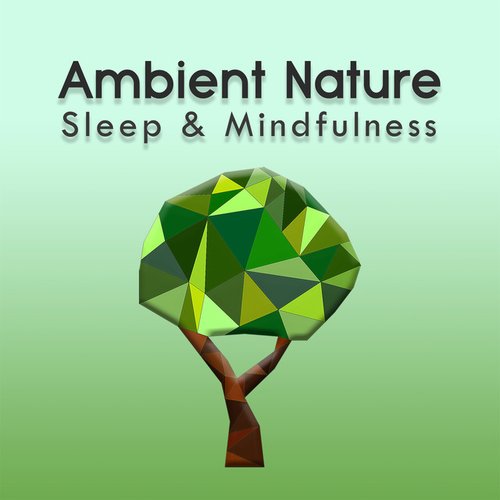 Ambient Nature (Sleep & Mindfulness)