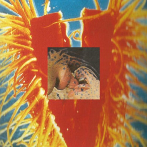 2 - Heh - V - Single