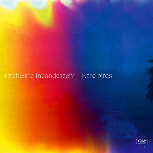 Rare Birds