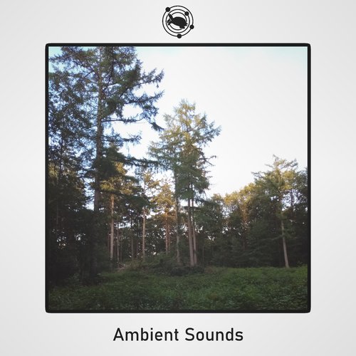 Ambient Sounds