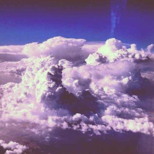 [NativeFlowers001] Compilation