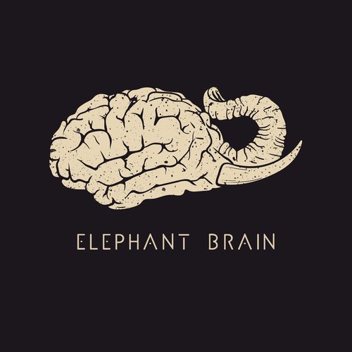 Elephant Brain