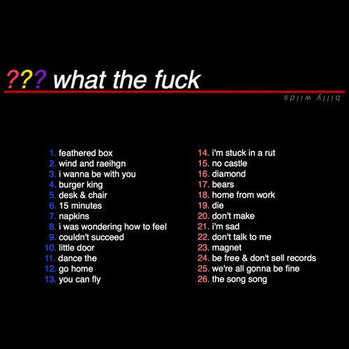 what the fuck