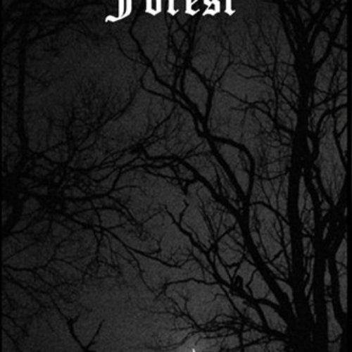 Trees Night