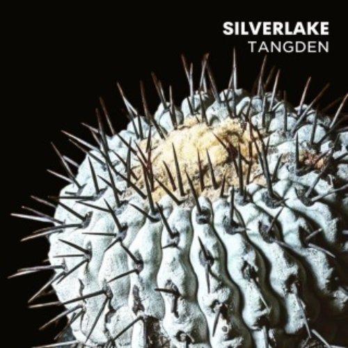 Silver Lake