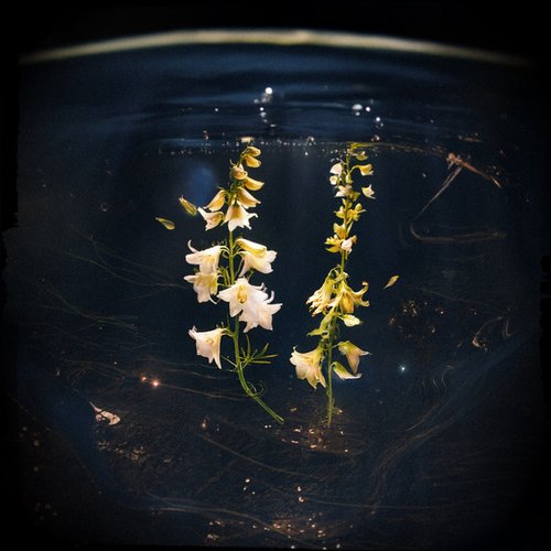 Buoyant