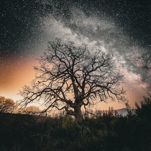 A Dream to Keep