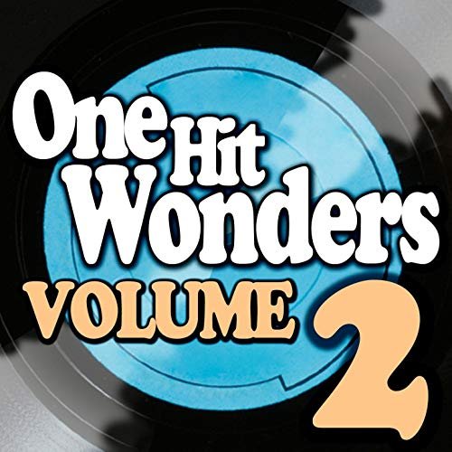 One Hit Wonders - Vol. 2