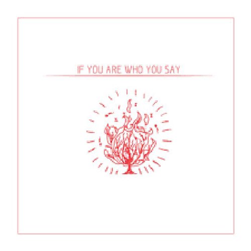 If You Are Who You Say