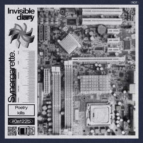 Invisible Diary