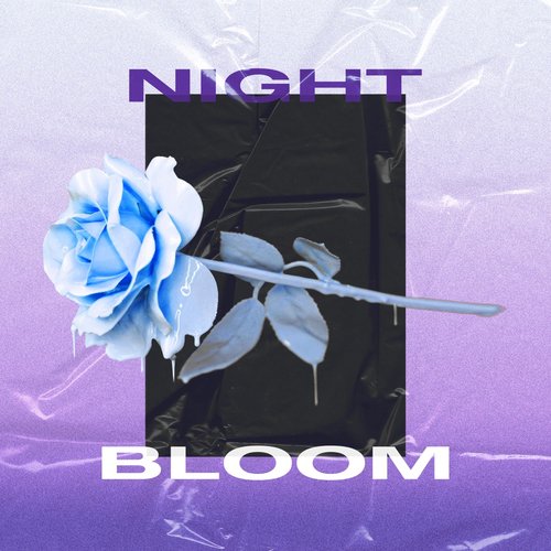 Blooming at night (with CHAE EUN)
